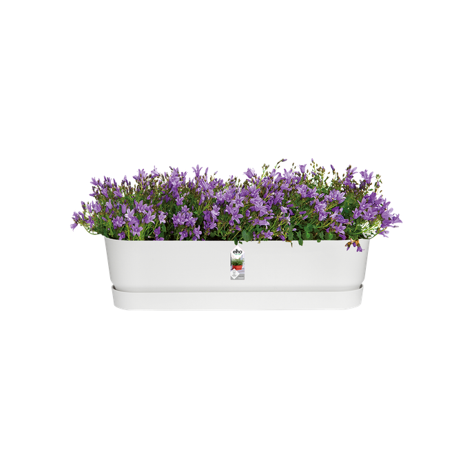 greenville long 70cm blanc